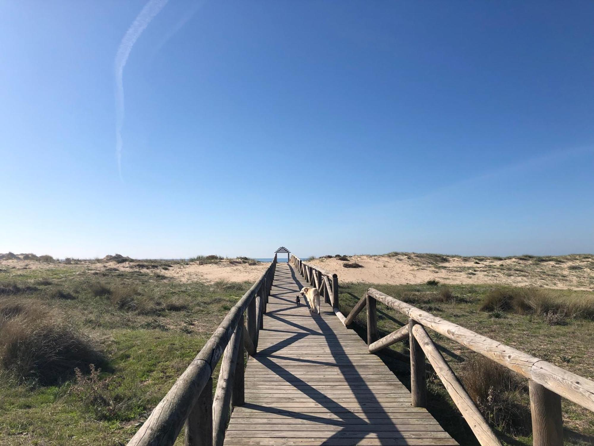 Apartamento Aretusa El Velero Zahara de los Atunes Buitenkant foto